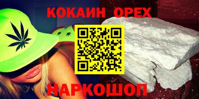 сатива Новозыбков