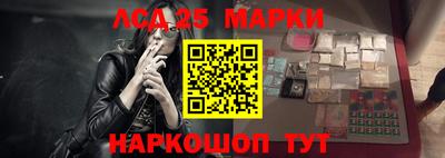 сатива Новозыбков