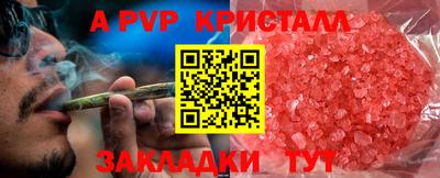 сатива Новозыбков