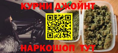 сатива Новозыбков