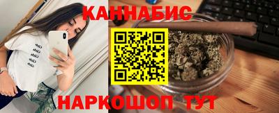 сатива Новозыбков