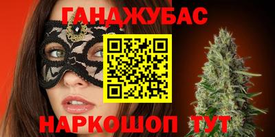 сатива Новозыбков