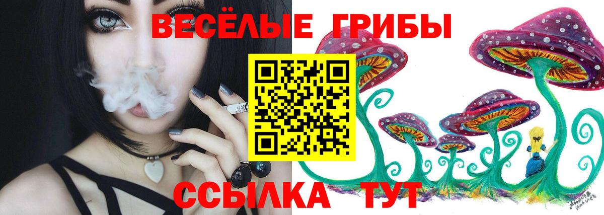 Псилоцибиновые грибы MAGIC MUSHROOMS  Галлюциногенные грибы ЛСД  Вход с VPN  Шелехов 